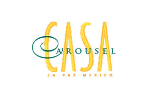 carousel image